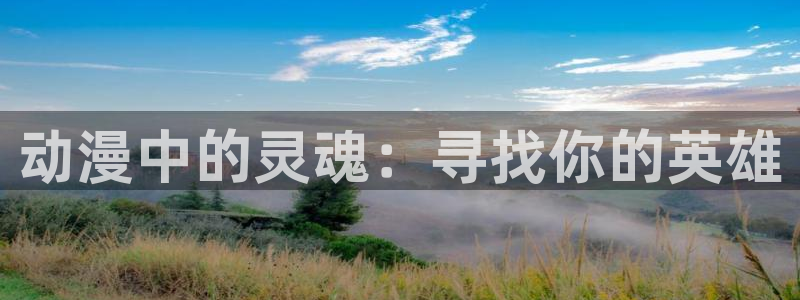 51动漫在线观看免费：动漫中的灵魂：寻找你的英雄