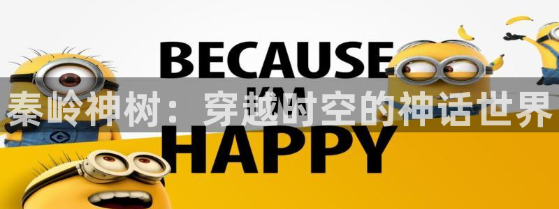 51动漫视频：秦岭神树：穿越时空的神话世界