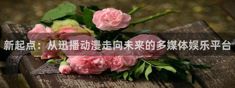 51动漫官方：新起点：从迅播动漫走向未来的多媒体娱乐平台