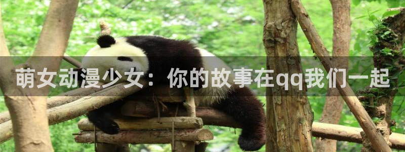 51动漫樱花动漫：萌女动漫少女：你的故事在qq我们一起