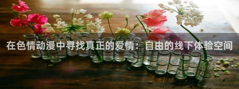 免费51动漫官网：在色情动漫中寻找真正的爱情：自由的线下体验空间
