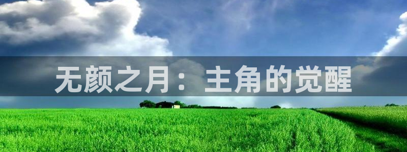 51动漫网在线：无颜之月：主角的觉醒